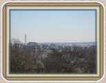 Washington DC View (4)